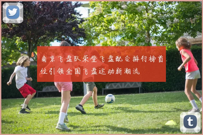 南京飞盘队荣登飞盘配合排行榜首位引领全国飞盘运动新潮流