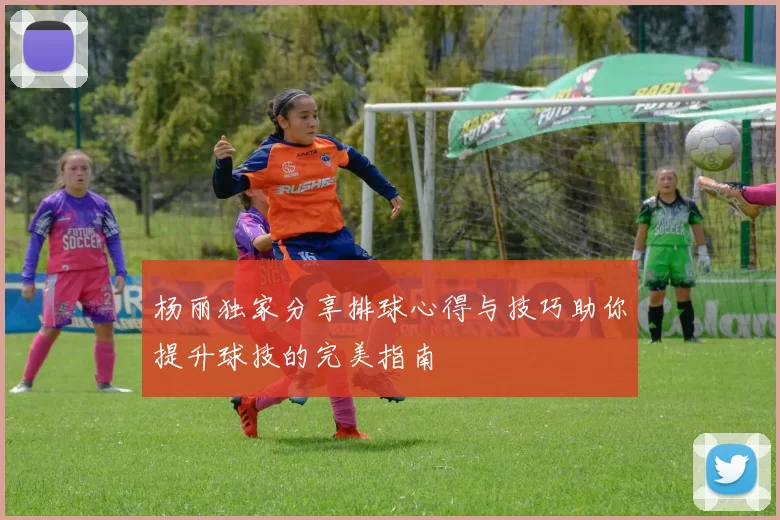 杨丽独家分享排球心得与技巧助你提升球技的完美指南