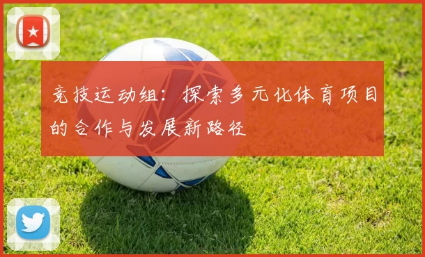 竞技运动组：探索多元化体育项目的合作与发展新路径