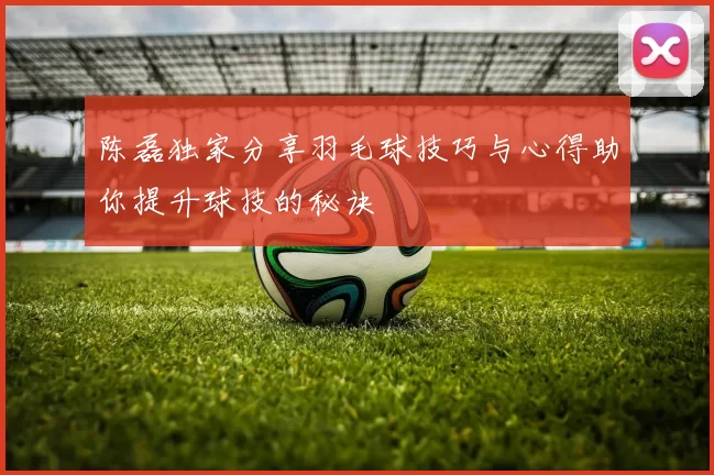 陈磊独家分享羽毛球技巧与心得助你提升球技的秘诀