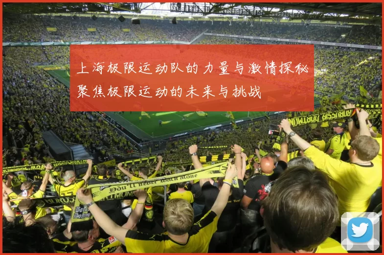 上海极限运动队的力量与激情探秘聚焦极限运动的未来与挑战