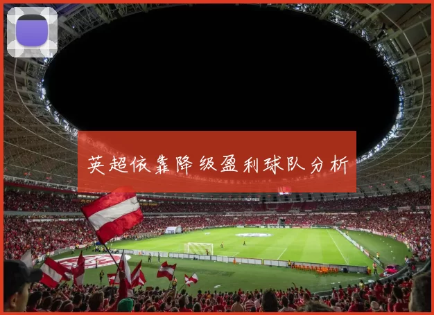 英超依靠降级盈利球队分析