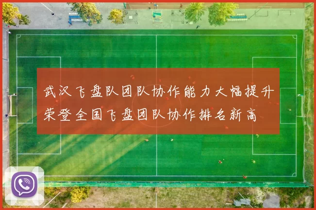 武汉飞盘队团队协作能力大幅提升荣登全国飞盘团队协作排名新高