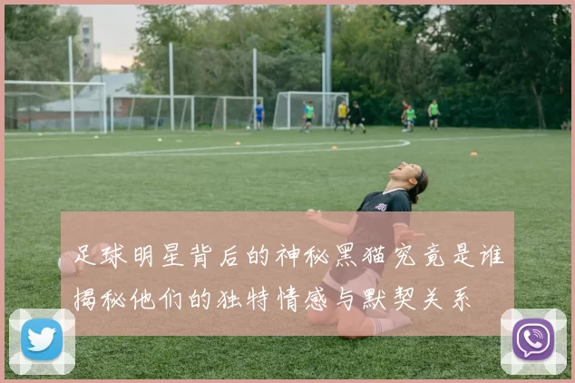 足球明星背后的神秘黑猫究竟是谁揭秘他们的独特情感与默契关系