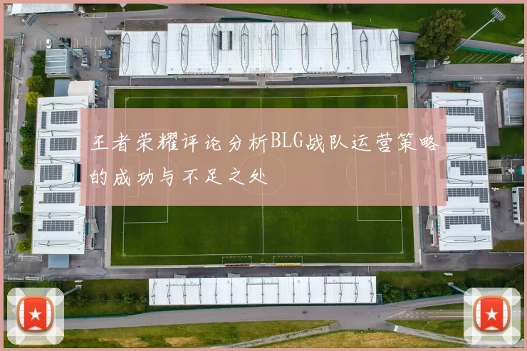 王者荣耀评论分析BLG战队运营策略的成功与不足之处