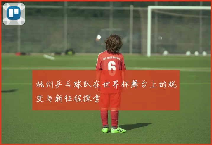 杭州乒乓球队在世界杯舞台上的蜕变与新征程探索