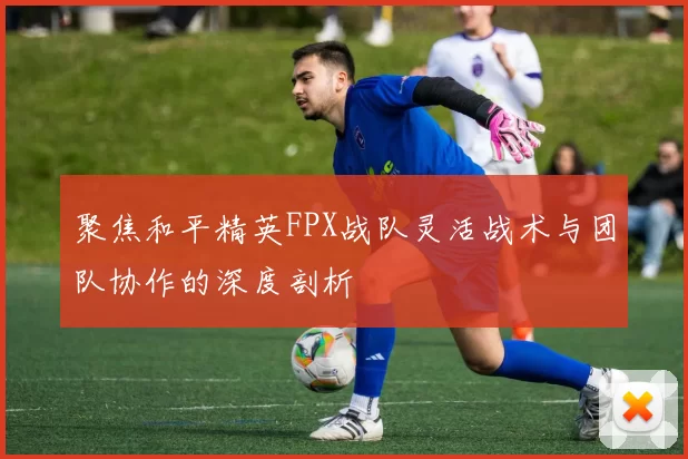 聚焦和平精英FPX战队灵活战术与团队协作的深度剖析