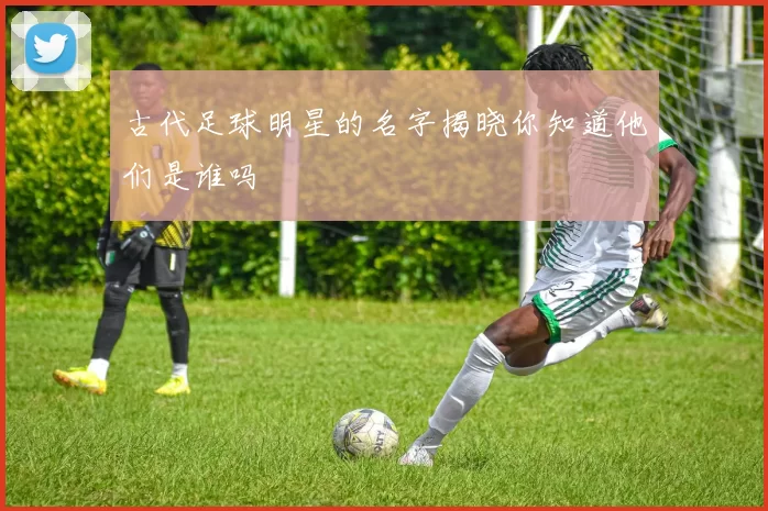 古代足球明星的名字揭晓你知道他们是谁吗