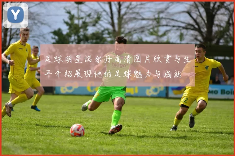 足球明星诺尔丹高清图片欣赏与生平介绍展现他的足球魅力与成就
