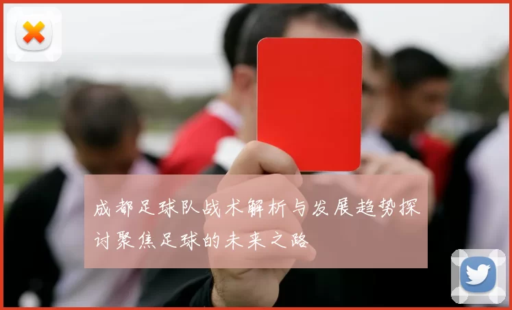 成都足球队战术解析与发展趋势探讨聚焦足球的未来之路