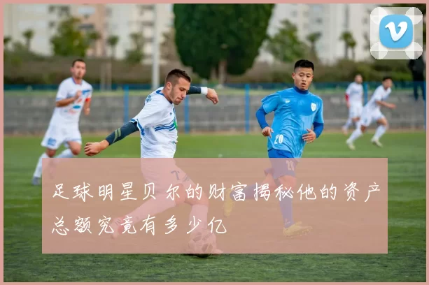 足球明星贝尔的财富揭秘他的资产总额究竟有多少亿