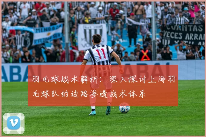羽毛球战术解析：深入探讨上海羽毛球队的边路渗透战术体系